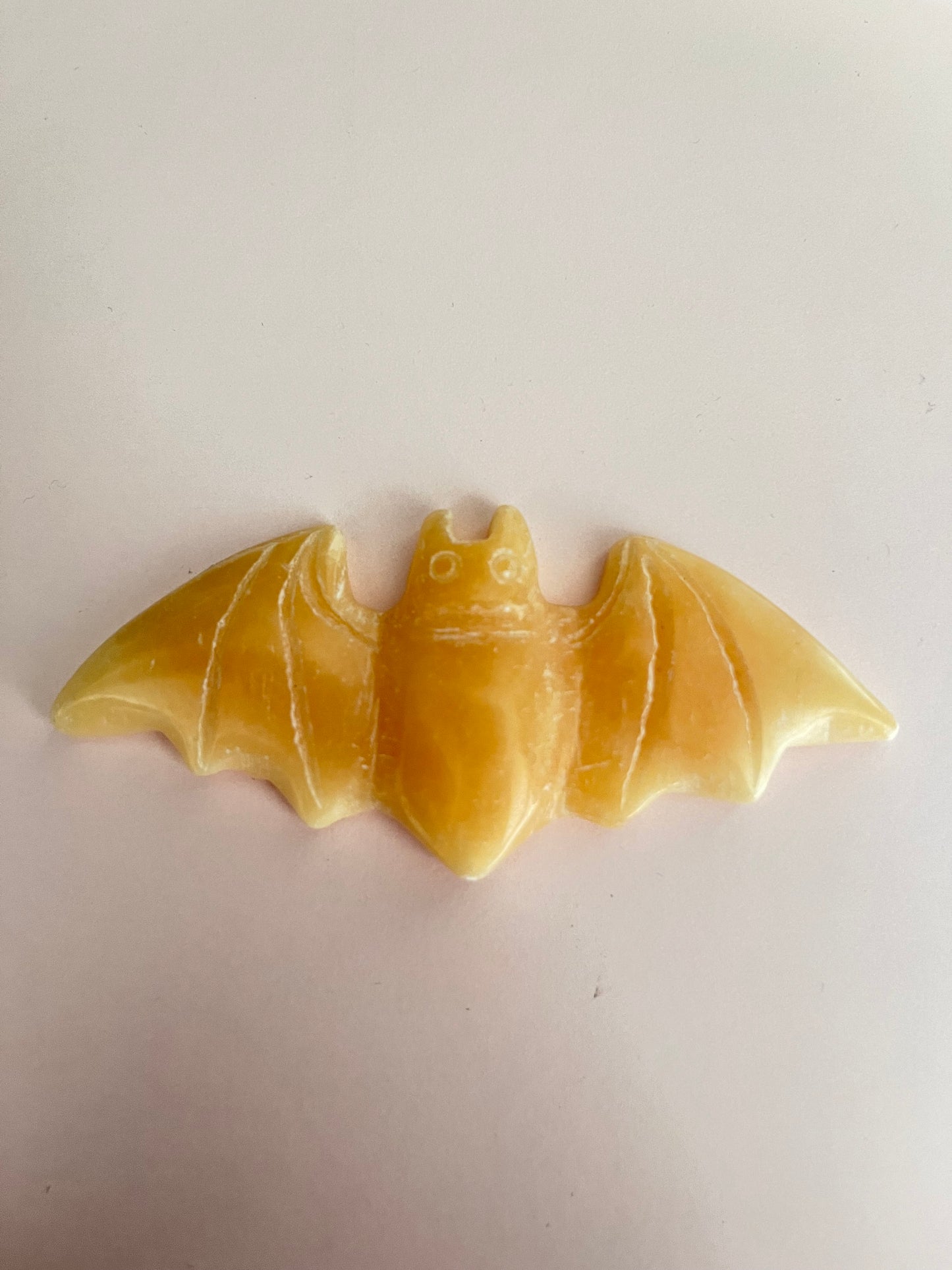 Bats