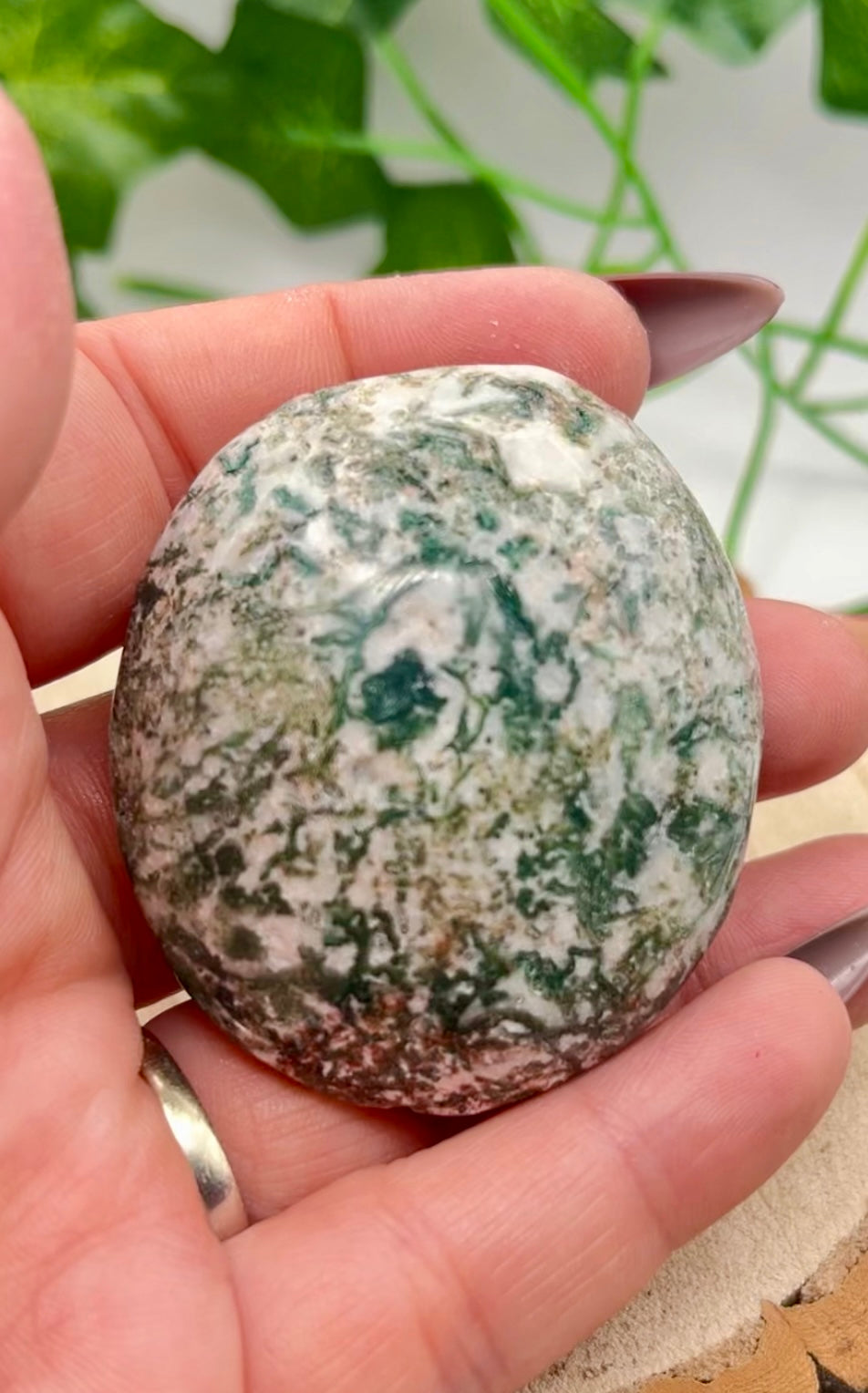 Moss Agate Palm Stone