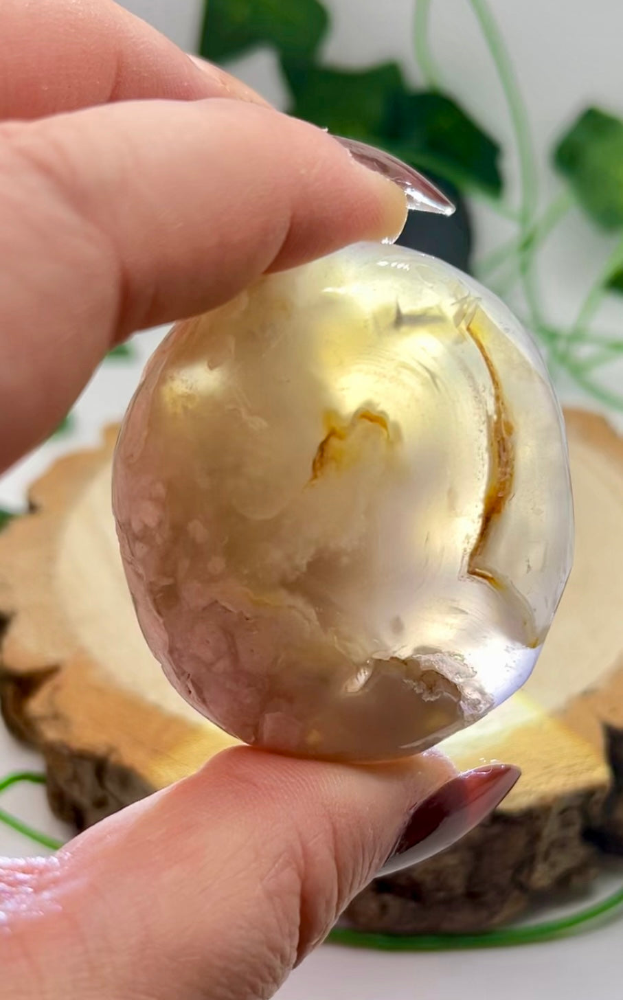 Flower Agate Palm Stone