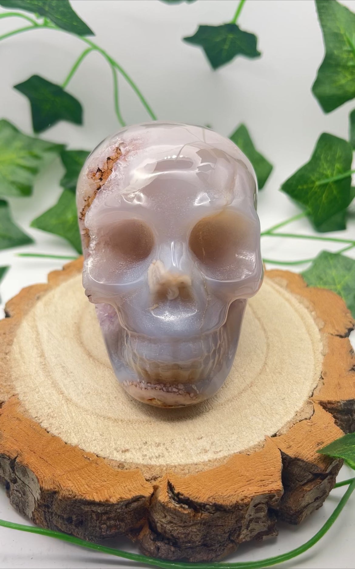 Flower Agate Skull With Druzy