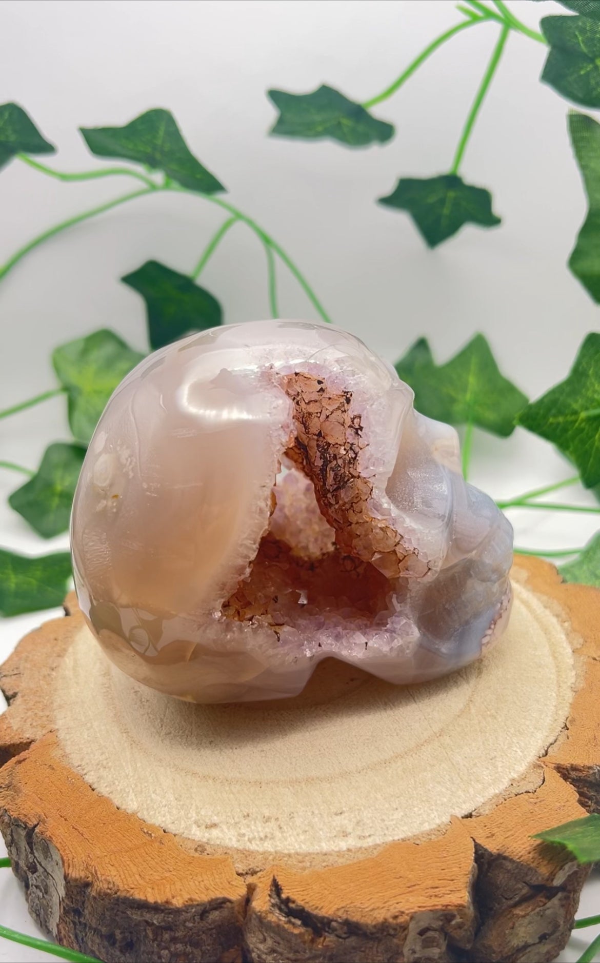 Flower Agate Skull With Druzy