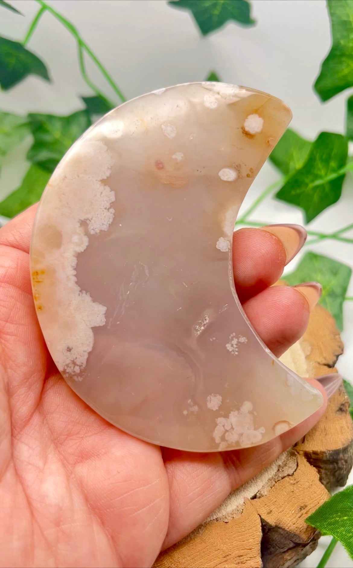 Flower Agate Moon