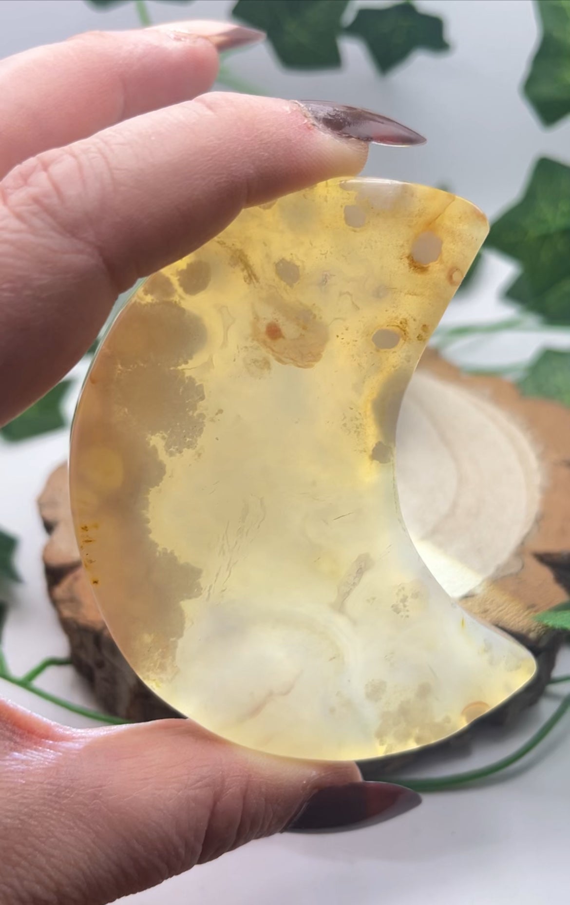 Flower Agate Moon