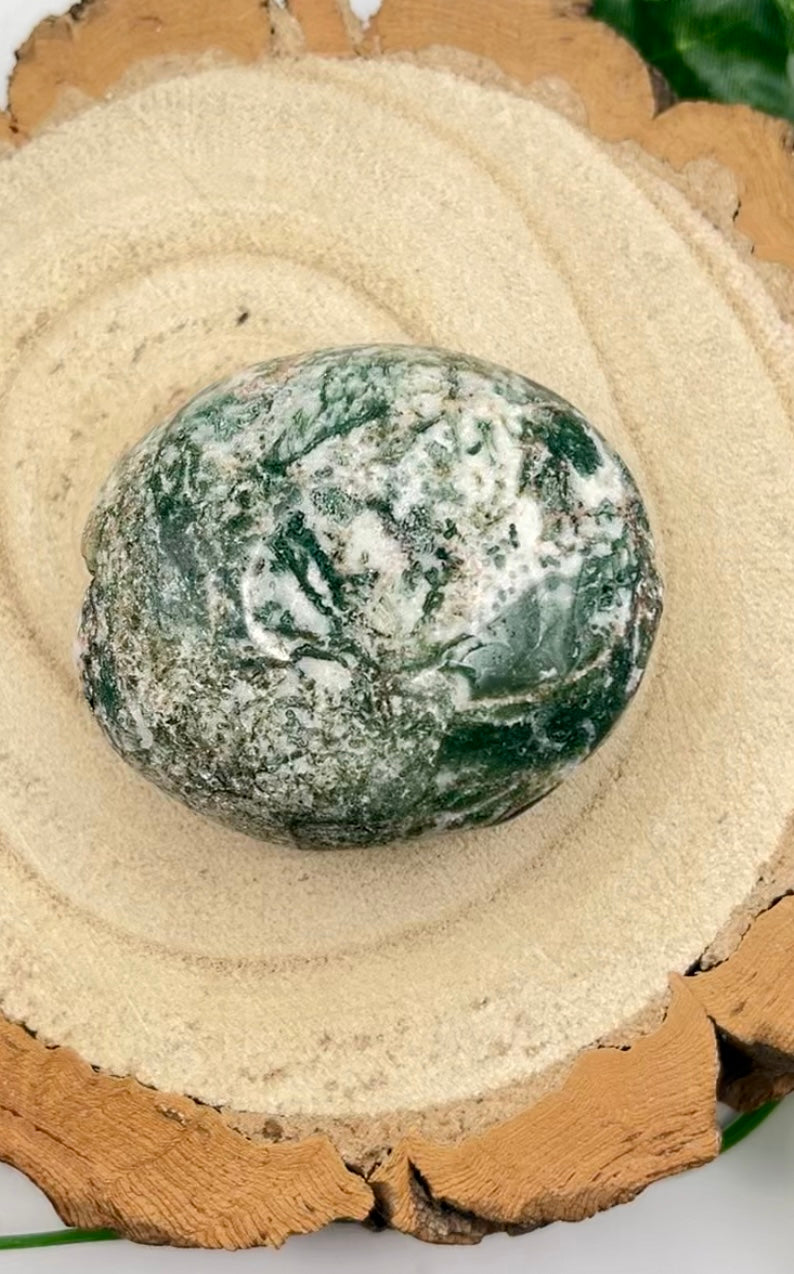 Moss Agate Palm Stone
