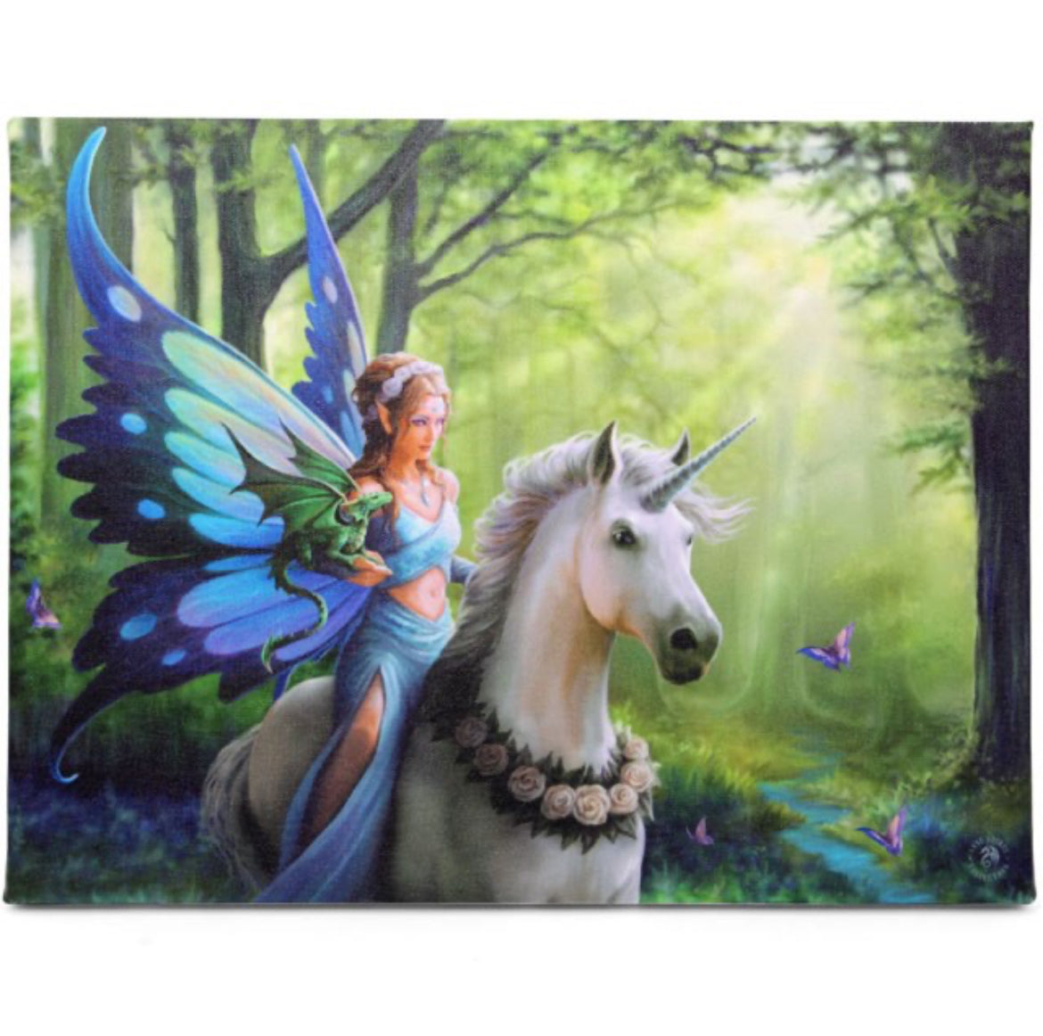 Realm Of Enchantment Canvas Plaque By Anne Stokes 25x19CM