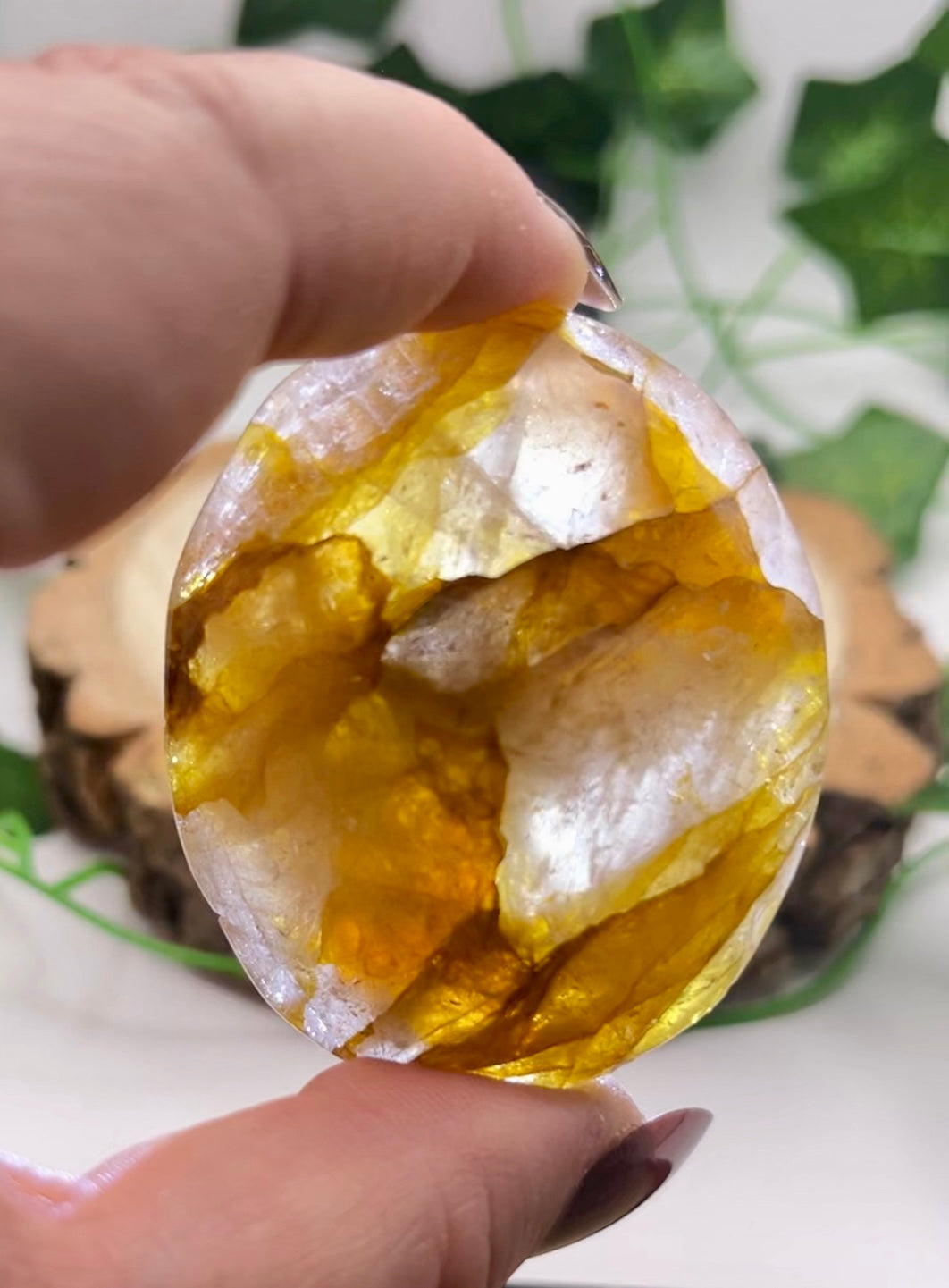 Golden Healer Palm Stone