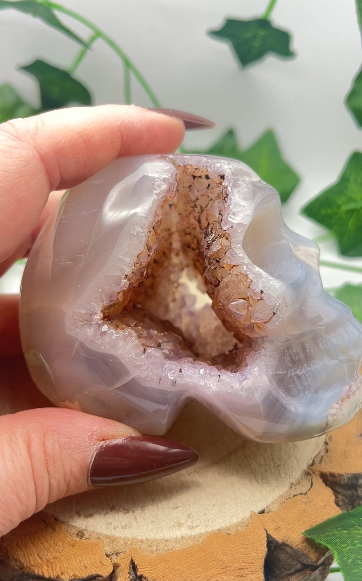 Flower Agate Skull With Druzy