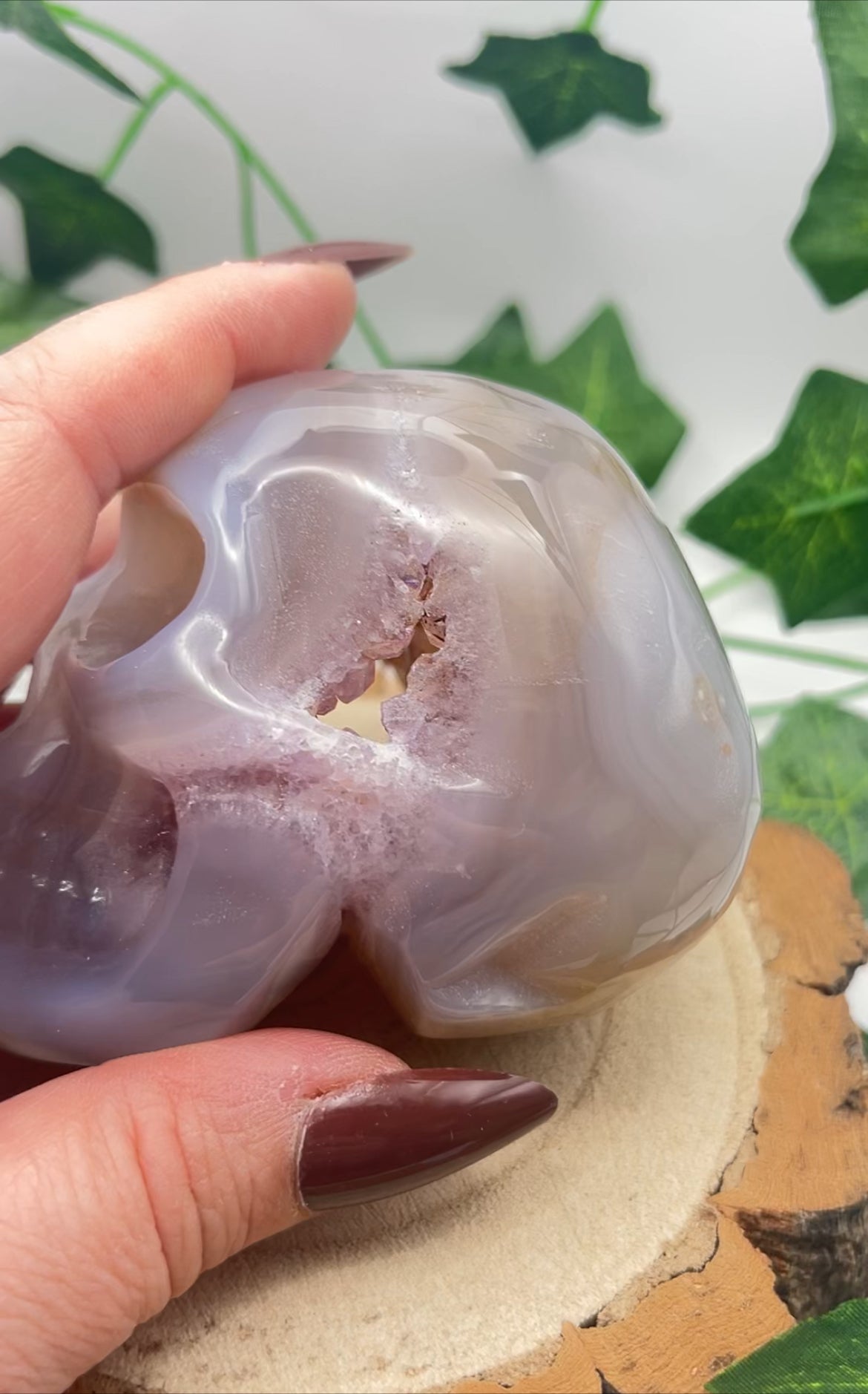 Flower Agate Skull With Druzy