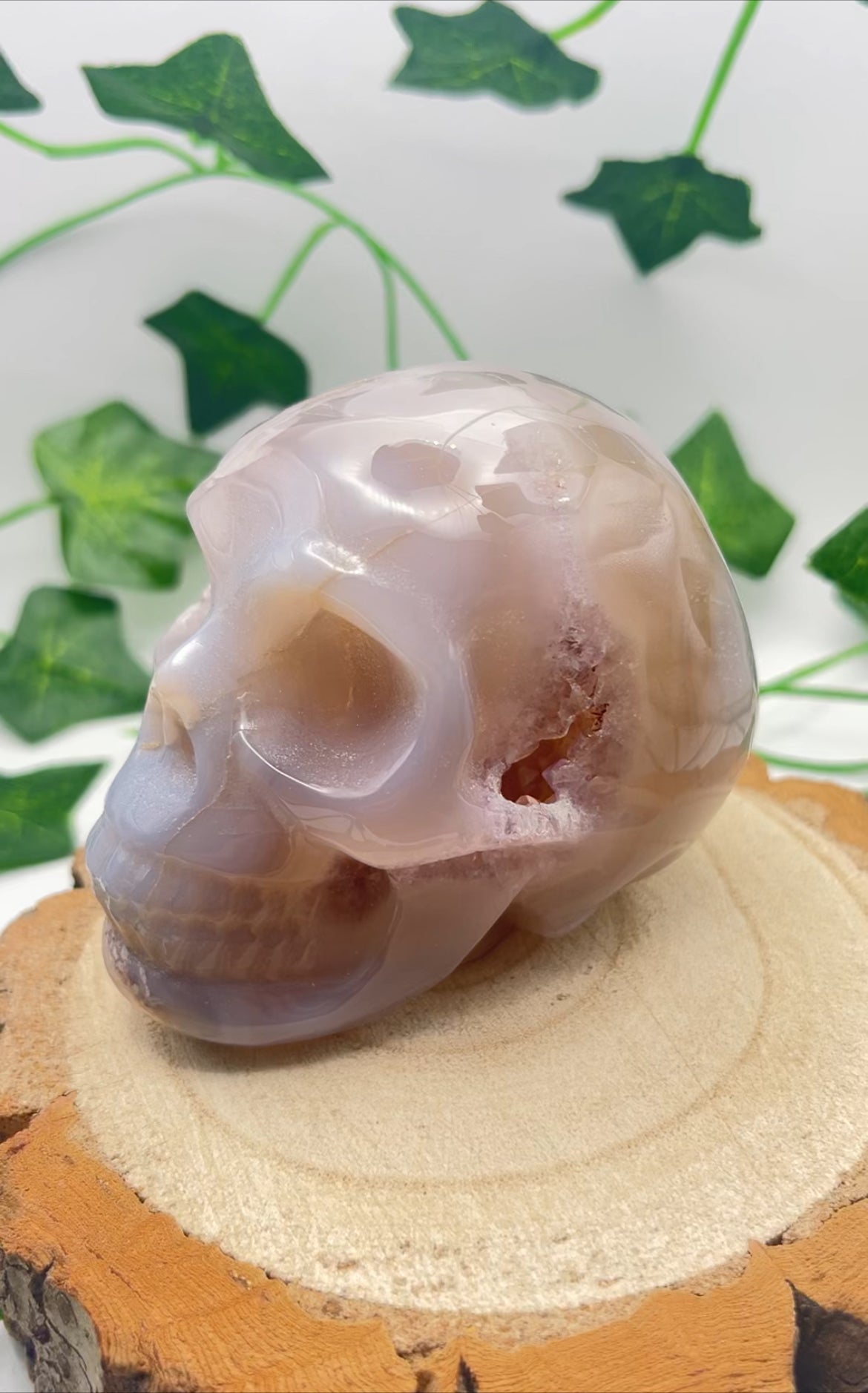 Flower Agate Skull With Druzy