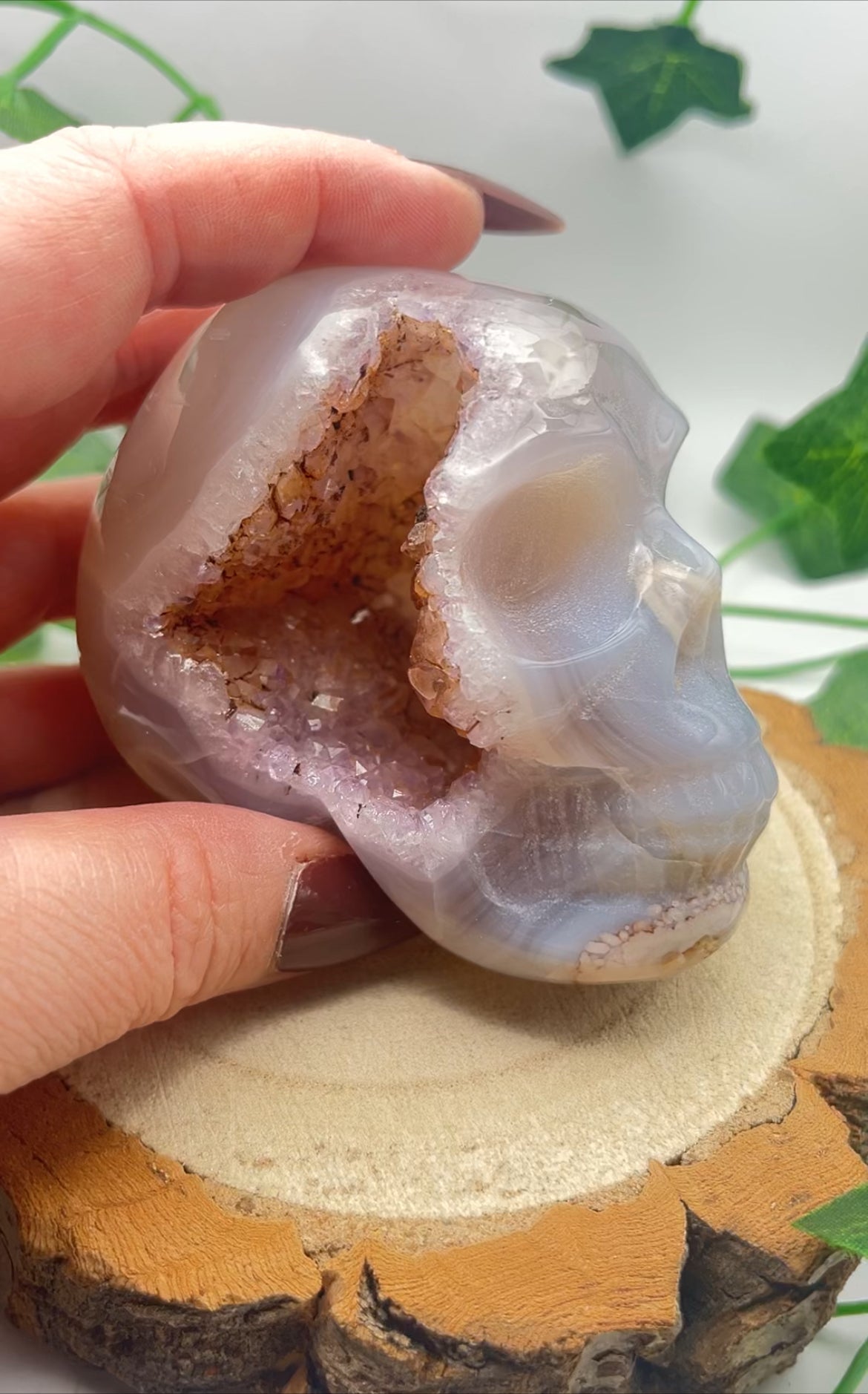 Flower Agate Skull With Druzy