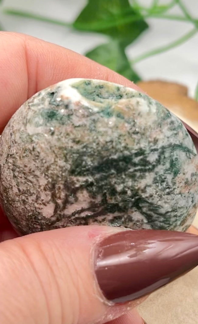 Moss Agate Palm Stone