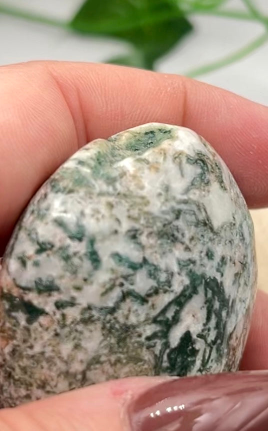 Moss Agate Palm Stone