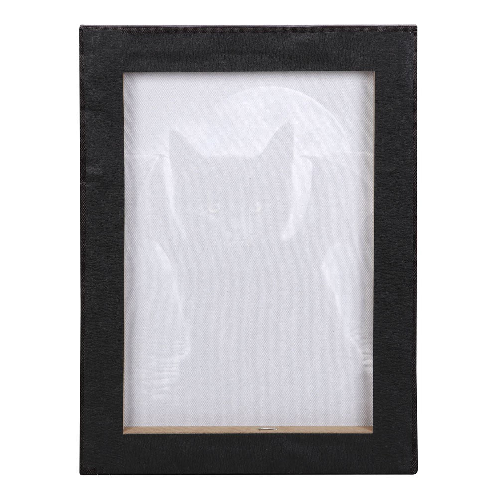Bat Cat Canvas Plaque 19x25cm