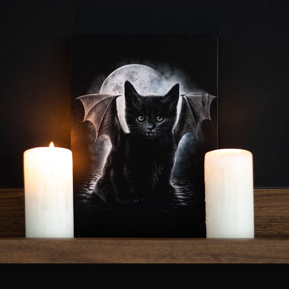 Bat Cat Canvas Plaque 19x25cm