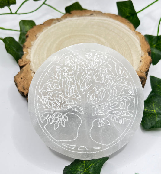 Small Charging Plate 8CM - Tree Of Life