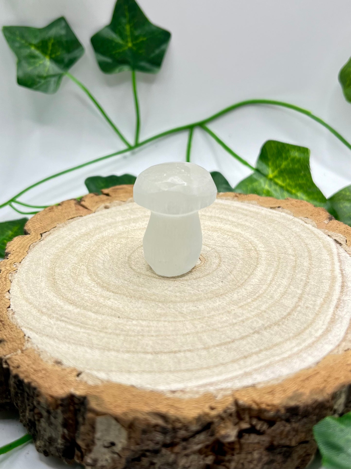 Selenite Mushroom