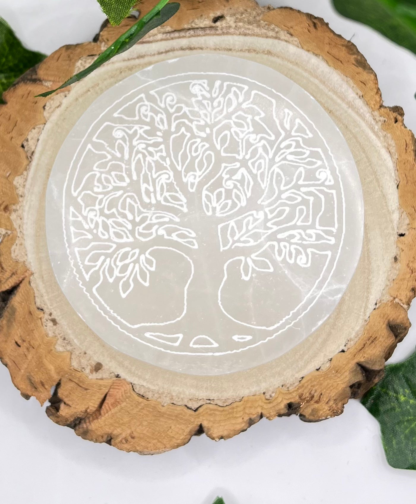 Small Charging Plate 8CM - Tree Of Life