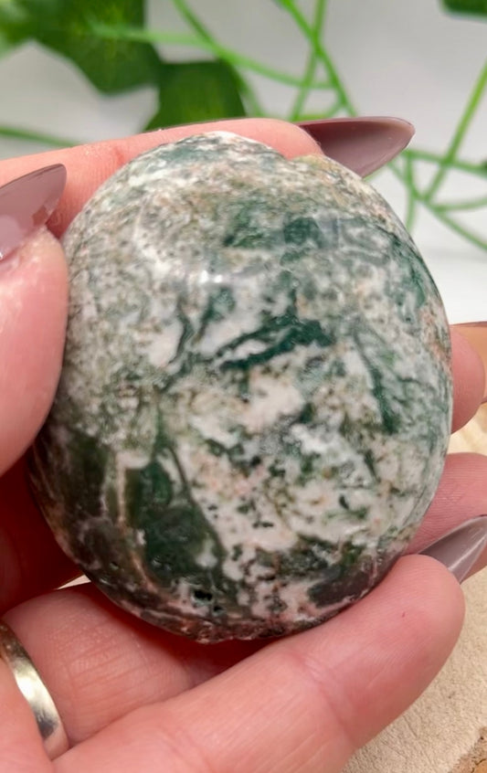 Moss Agate Palm Stone