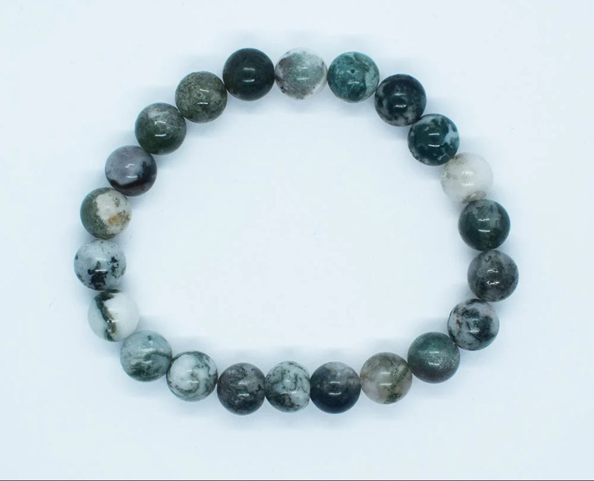 Tree Agate Beaded Bracelet 8mm