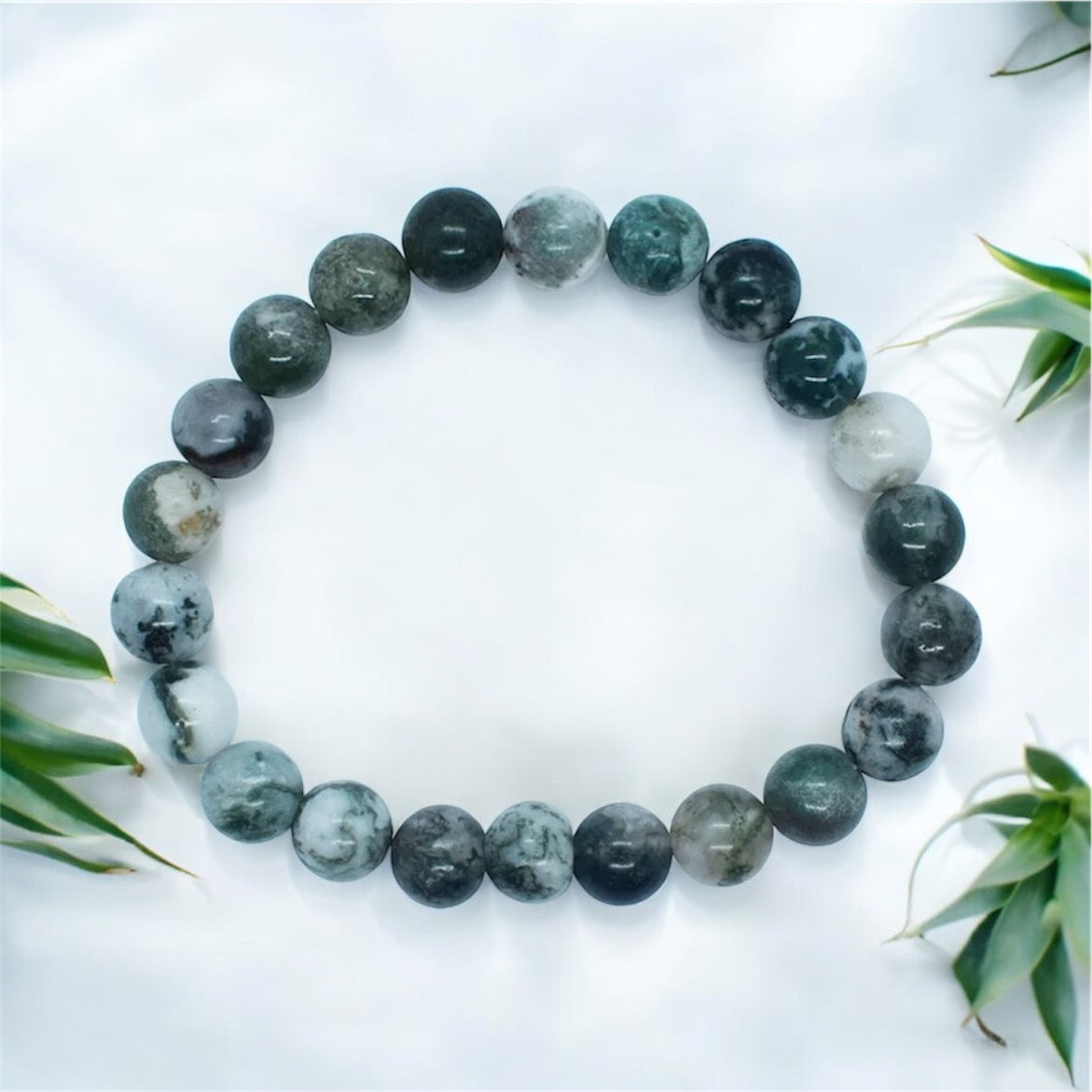 Tree Agate Beaded Bracelet 8mm