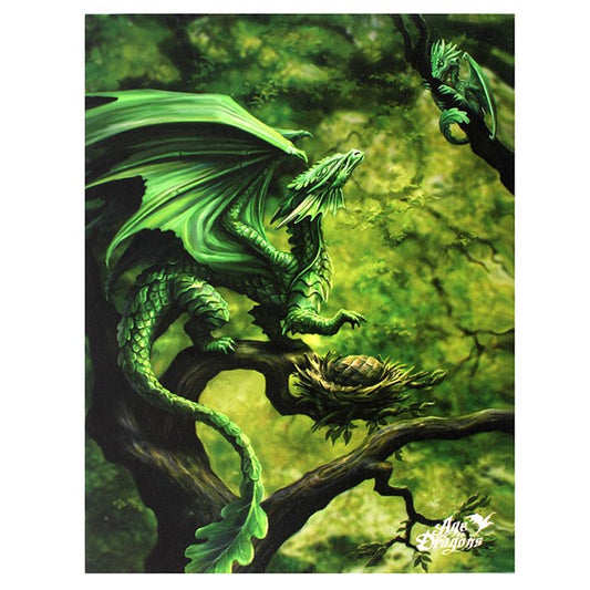 Forest Dragon Canvas Plaque By Anne Stokes 19x25CM