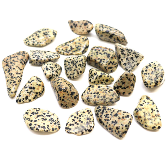 Dalmation Stone Medium Tumblestone